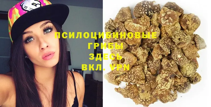 Галлюциногенные грибы GOLDEN TEACHER  Азнакаево 